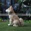 artificial animals plastic mold inside floppy dog plush toys