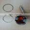SOLO Port 423 Mist Blower Complete Piston and Rings