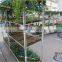 369 grafting seedling cart