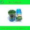 Mint TOOTHPICKS