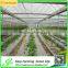 Used Galanized Steel Pipe Greenhouse for Sale