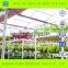Large Arch Tunnel Film Greenhouse