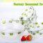 5pcs glass bowl with plastic cover