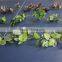 artificial rattan long leaf vines graden decoration leaf rattan