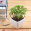 Artificial succulent plants mini artificial plants Potted Artificial Mini Succulent Plants