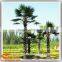 factory wholesale Island decoration plants of Washington palm tree artificial palm tree