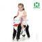HI children funny toys mechanical walking horse