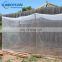 agricultural woven hdpe anti insect nets / fruit fly exclusion insect proof netting / Anti-insect (polysack) nets