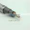 ERIKC 0445120121 common rail injector 0986AD1047 diesel pump auto engine part injection 0445 120 121
