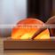 Mesun N9 Portable Himalayan Salt Desk Lamp Bedside Lamp QI Wireless Charger