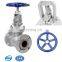 China Supplier DIN Standard DN50 DN80 DN100 Bellow Globe valve