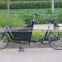 2 wheels Easy Handle Electric Cargo Bike for Adult
