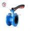 Tyco Valve PN10 PN16 EPDM Rubber Seat Cast Iron Ductile Iron Handle Double Flange Type Butterfly Valve