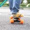 Extreme skater 250W powerful motor longboard cheap retro electric skateboards in popular style