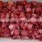 Sinocharm BRC-A Certified IQF Strawberries Sweet Charli Diced Frozen Strawberry