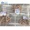 IQF Seafood Cooked Vannamei  Frozen Vannamei Shrimp