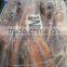 Frozen Argentina squid Supplier