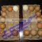 OEM Orders Eco-friendly molded recycled waste paper pulp egg tray professional factory