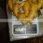 2015 ginger best quality with lowest price