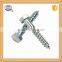 Stainless steel wood screw self tapping screw