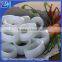 frozen squid ring squid price