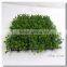 Plastic Grass Material Artificial Boxwood Mat Milan Grass Mat for Wall Decoration
