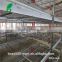 H type stacked battery chicken cage used for broiler and layer rearing