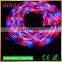 Drop glue waterproof RGB 3528 24W led strip light with diffuser light 12vdc