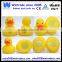 Bath toy yellow race duck weighted with numbers