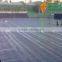 2016 JINLONG polyester SBS/APP modified bitumen WATERPROOF MEMBRAANE