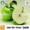 losing weight Apple Cider Vinegar extraction