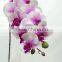 Aritificial Real Touch 12 Flowers Mini Butterfly Orchid