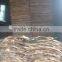 core veneer Viet Nam 100% AA
