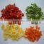 New Crop Dehydrated Vegetables Flakes 3*3mm,5*5mm,10*10*3mm,10*10*10mm,3*3*20mm