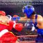2015 china manufacturer wholesale custom boxing headgear Helmet, boxing head guard