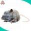 funny cutom toy mouse for kids cute mouse toy wholesale