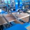CE, ISO Certificated Kraft Paper Bag Production Line