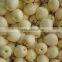good taste and high quality crown pear from hebei