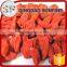 Chinese wolfberry dried goji berries
