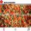price for frozen mixed vegetables