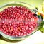 JSX Affordable price red speckled beans Different size adzuki bean