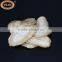 Tasty Crisp Low Temperature Fried King Oyster Mushroom Snacks