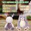 Customized Rabbit with Carrot Plush Stuffed Animal Toy