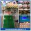 Best selling Dab Egg Printing Machine/Eggs crystal jet printer/Eggs Inkjet Printer