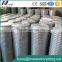 Welded Wire Mesh Hot Dipped Galvanized