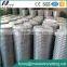 GI Wire Mesh Electro Galvanized Welded Wire Mesh