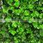 SJ11301208 Landscaping decorative ivy grass leaf fence/boxwood grass mat