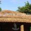 thatching water reed bundles