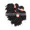 Alibaba express virgin hair Hot selling Brazilian kinky curly hair