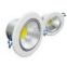 COB LEDdownlight 20W with SAA certificate